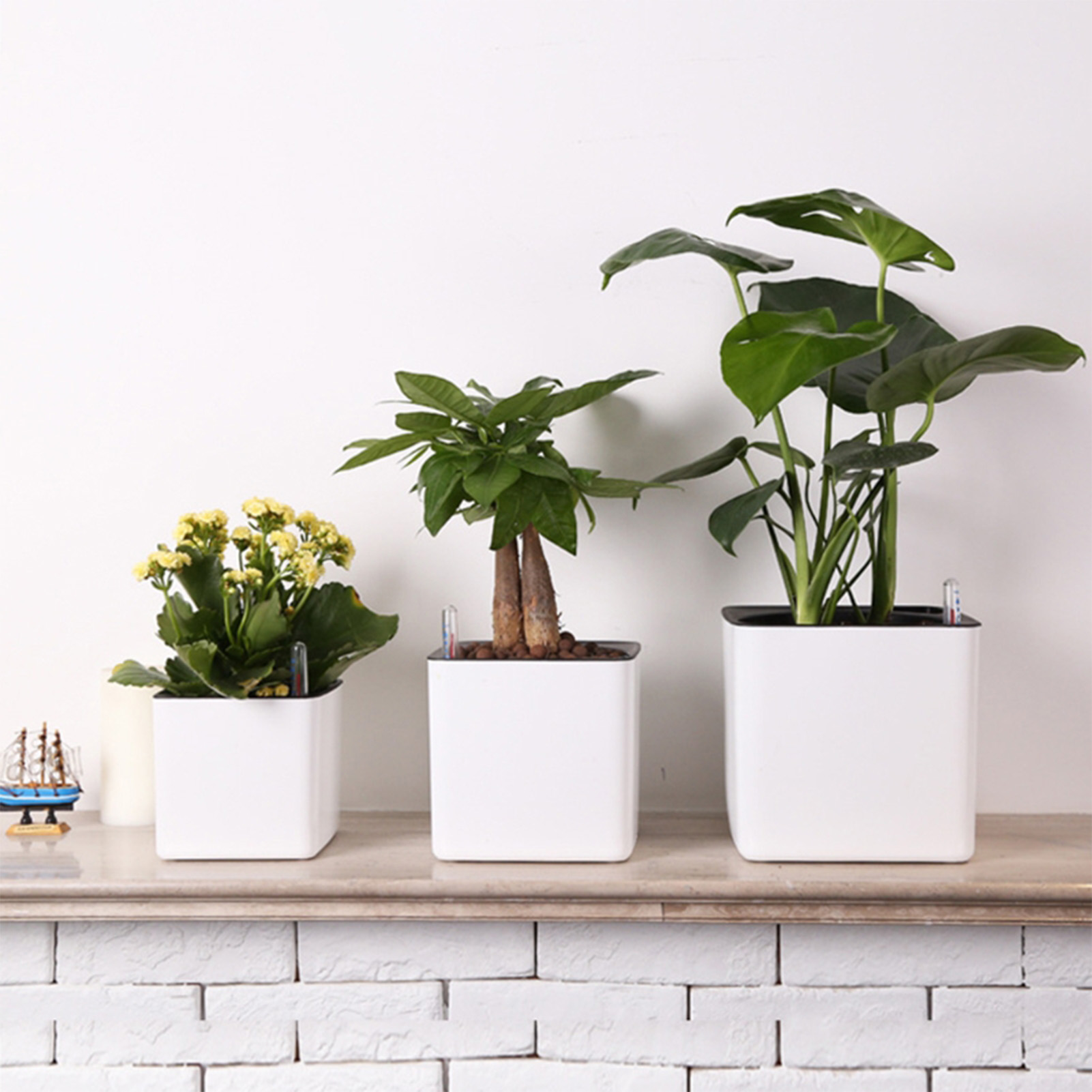 Self Watering Insert - 3 size Lazy flowerpot Green Plant
