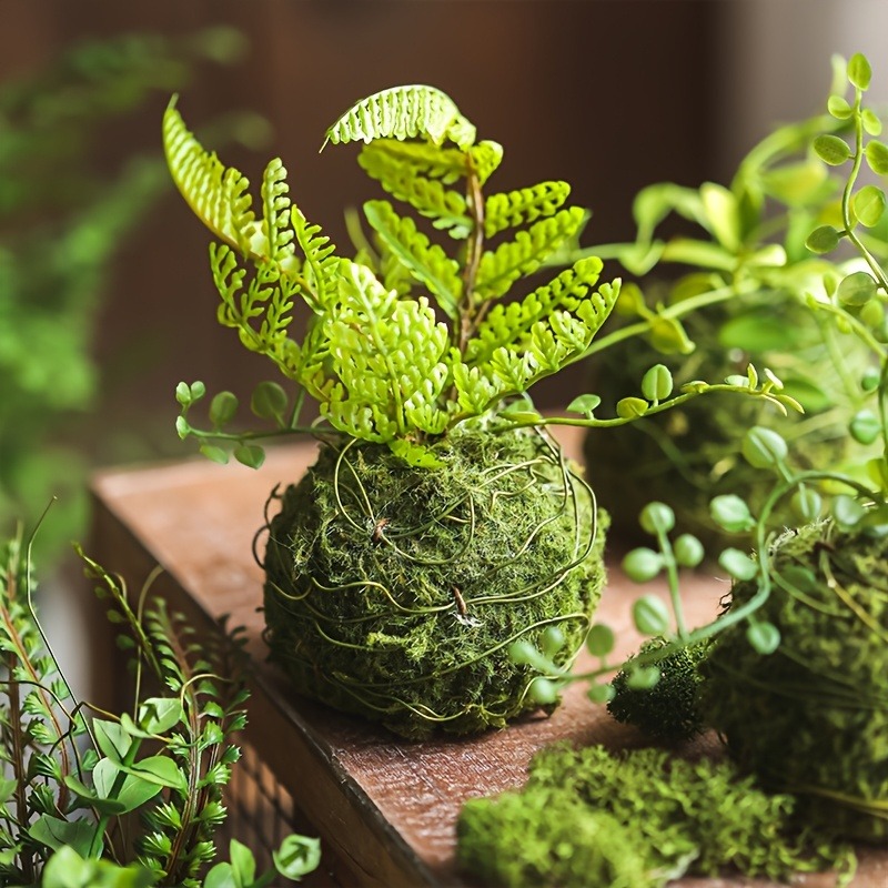 Artificial Moss Ball Planter,  - đánh giá và giá Sphagnum Moss Dry