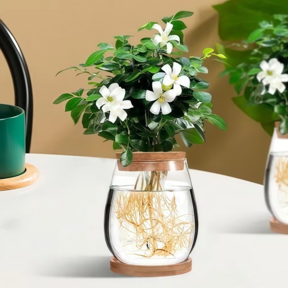Transparent Hydroponic Flowerp - đánh giá và giá Propagation Station Vase