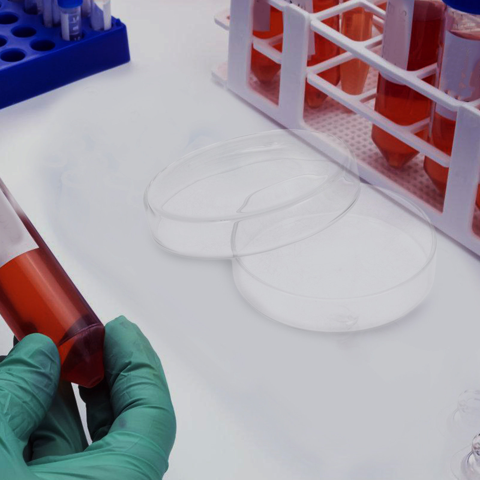 High Borosilicate Glass Petri  - đánh giá và giá Agar Tissue Culture