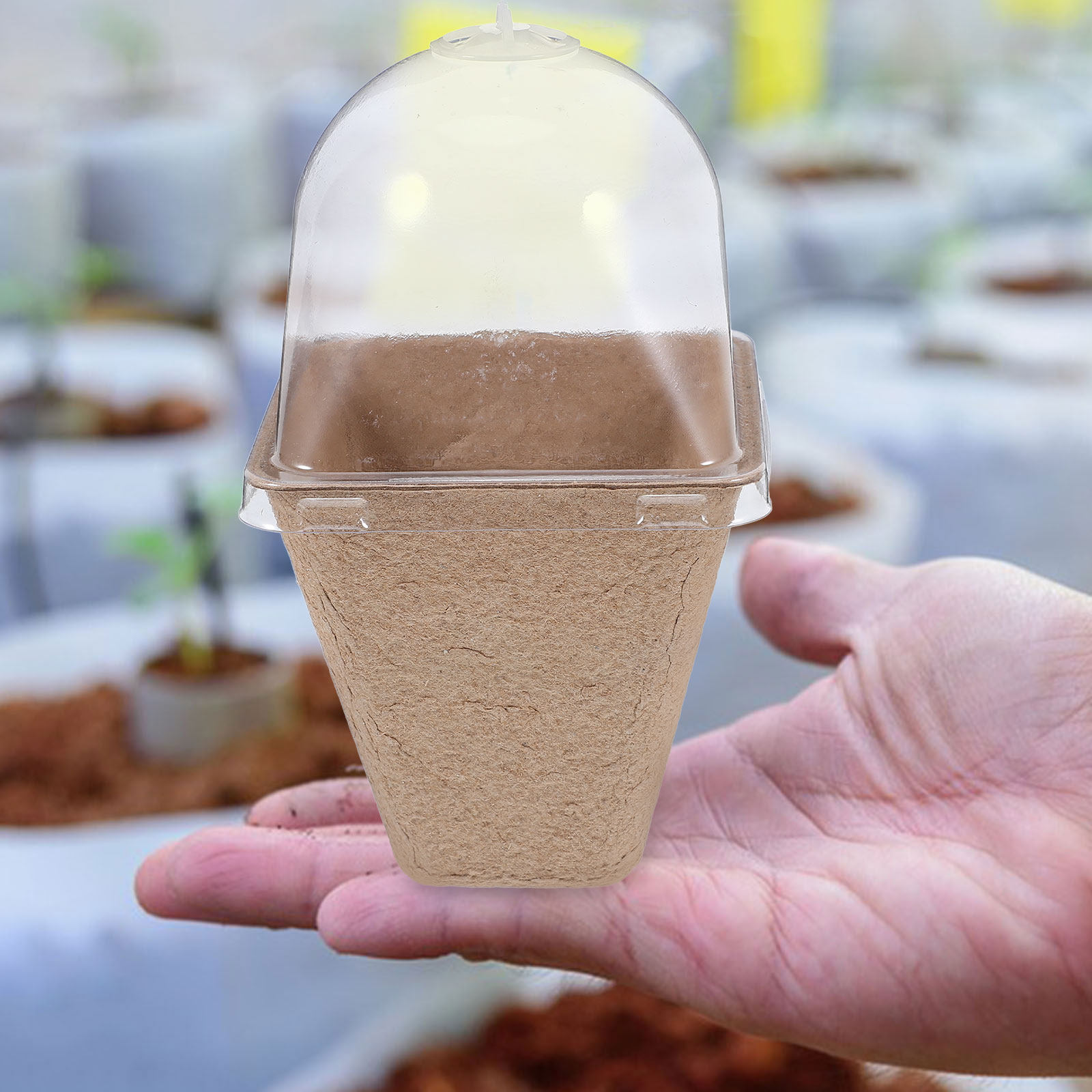 10Pcs Biodegradable Seedling S - đánh giá và giá Humidity Dome Kit