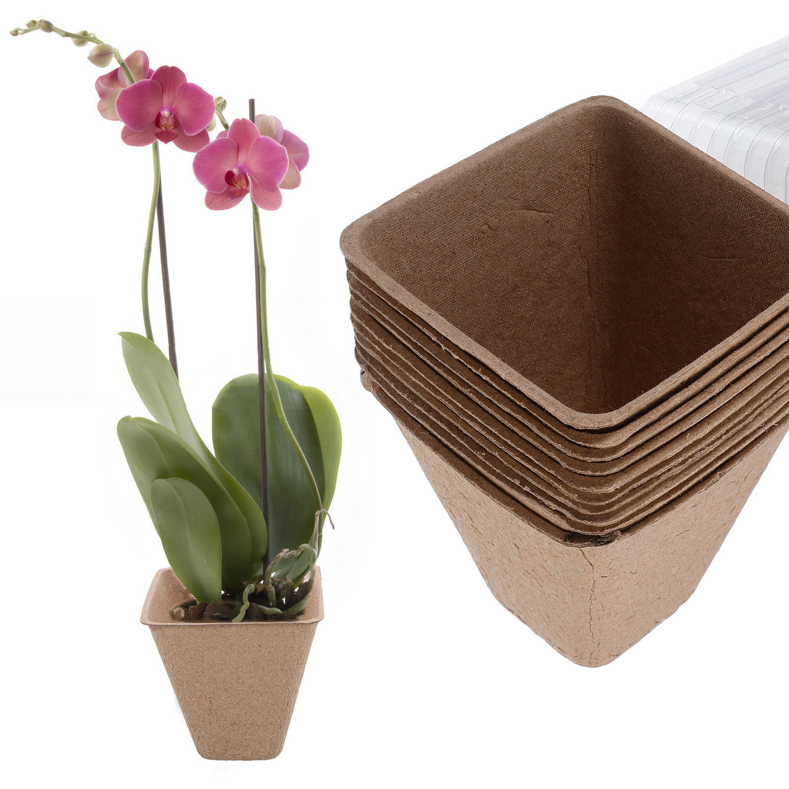 10Pcs Biodegradable Seedling S - đánh giá và giá Humidity Dome Kit