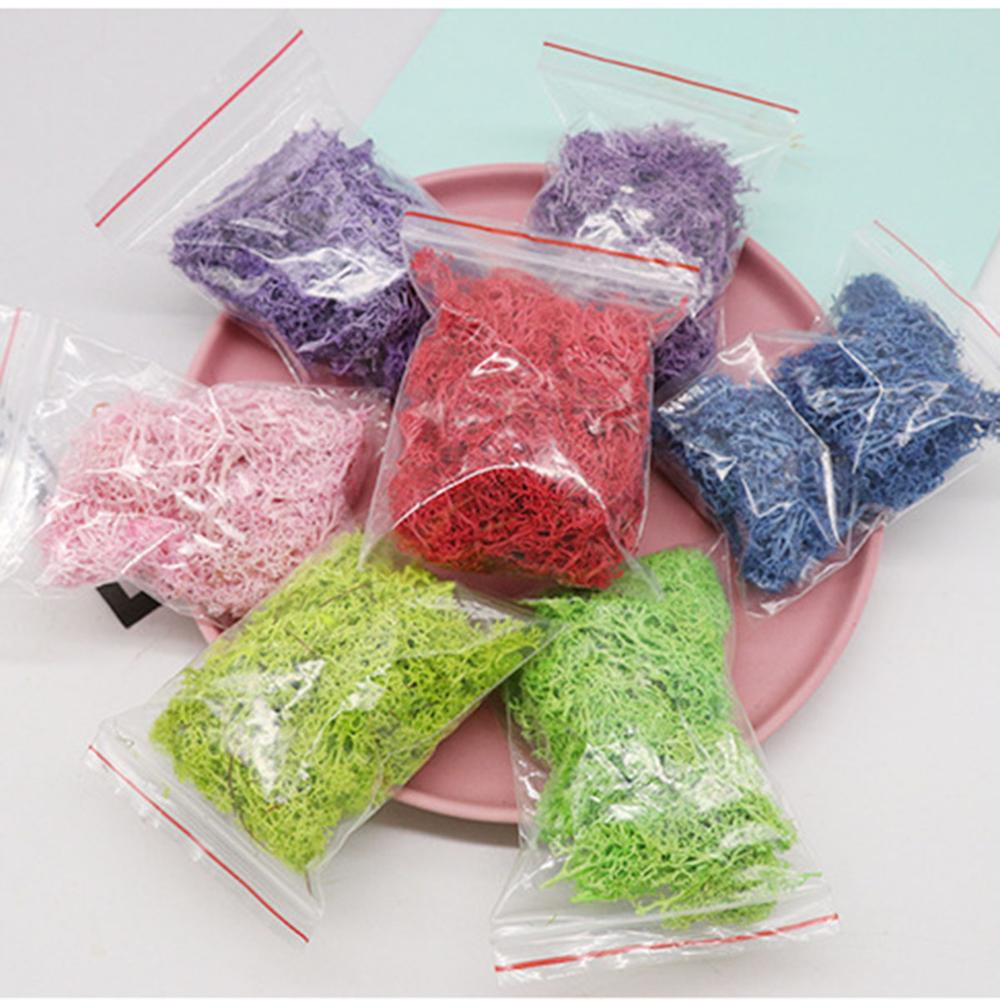 Nhân Tạo Vật Có Cuộc Sống Vĩnh - đánh giá và giá Sphagnum Moss Dry