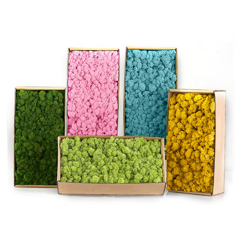 Artificial Green Plants Mini L - đánh giá và giá Sphagnum Moss Dry