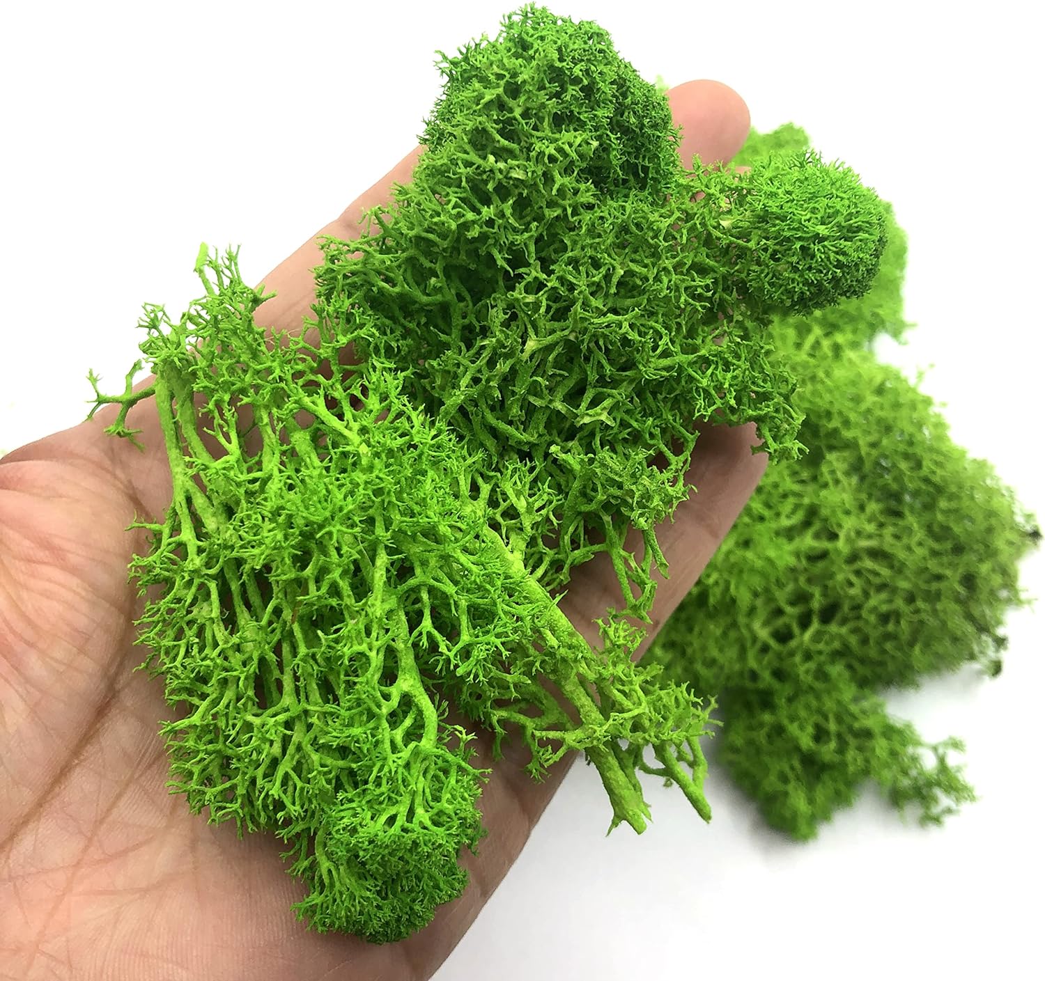 200g Artificial Green Plants M - đánh giá và giá Sphagnum Moss Dry