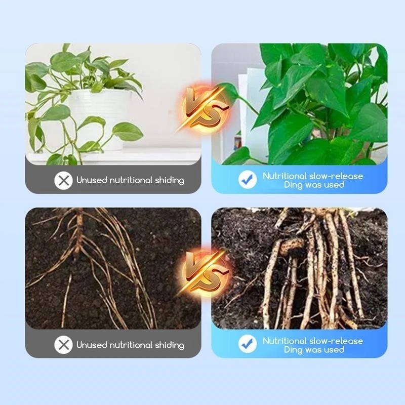 500g High-strength Rooting Hor - đánh giá và giá Rooting Hormone Powder