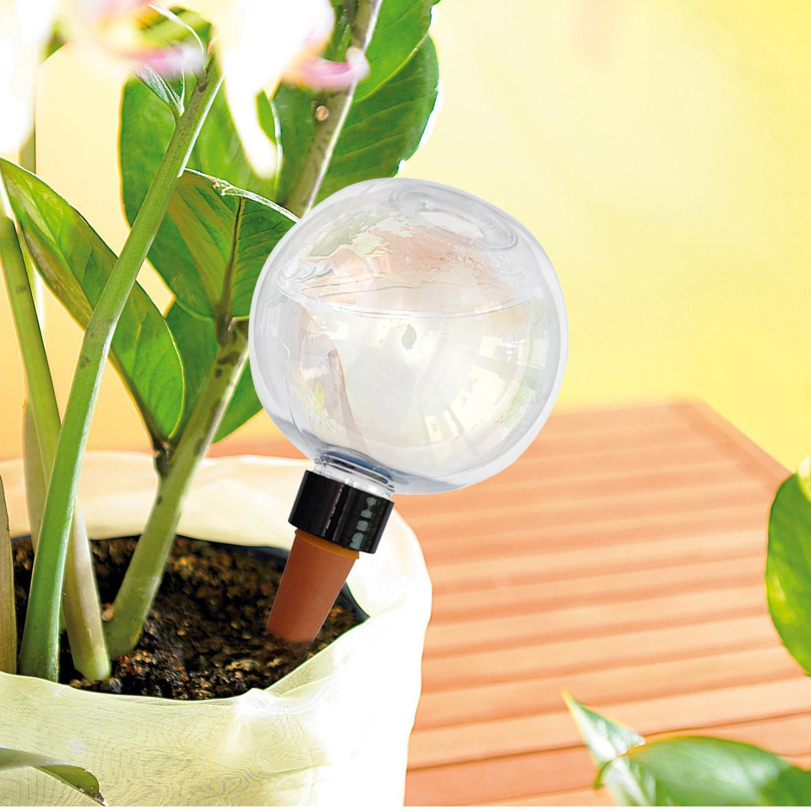500ml Automatic Plant Watering - đánh giá và giá Self Watering Insert