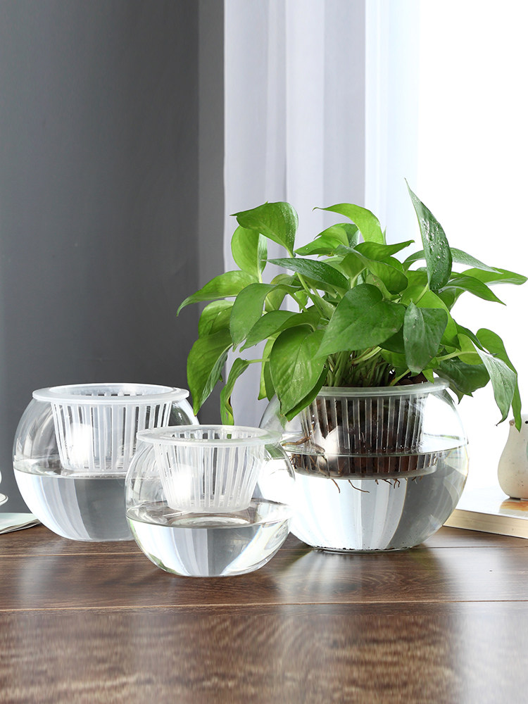 Hydroponic Glass Vase Glass Gr - đánh giá và giá Propagation Station Vase